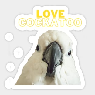 black love cockatoo parrot lover quote Sticker